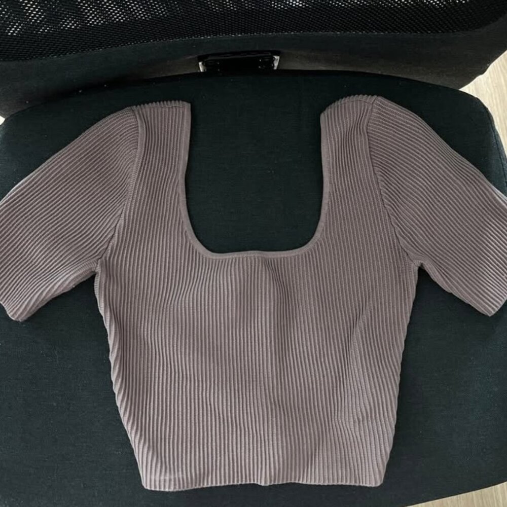 Babaton Aritzia sculpt-knit t-shirt